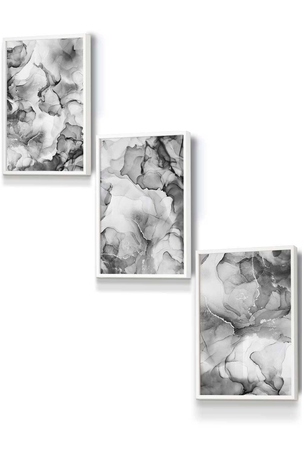 Set of 3 White Framed Abstract Floral Fluid in Grey Wall Art